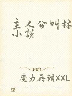 主人公叫林峰的小说