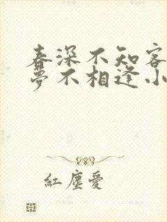 春深不知客,清梦不相逢小说封面