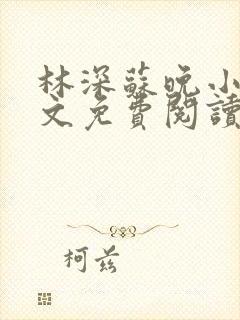 林深苏晚小说全文免费阅读封面