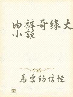 内裤奇缘大团结小说封面