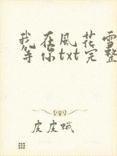 我在风花雪月里等你txt完整版