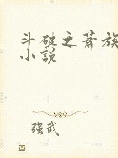 斗破之萧族冰圣小说