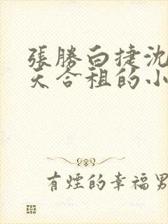 张胜白捷沈莹林天合租的小说封面