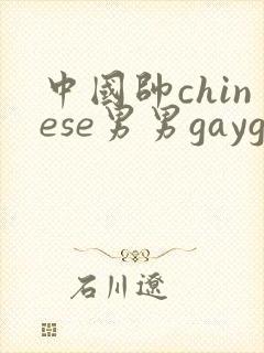 中国帅chinese男男gaygay网站