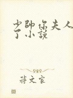 少帅你夫人又跑了小说