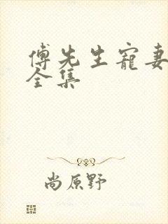 傅先生宠妻无度全集