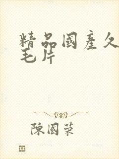 精品国产久久久毛片