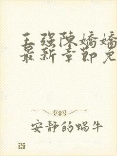 王强陈娇娇穿越最新章节免费阅读小说