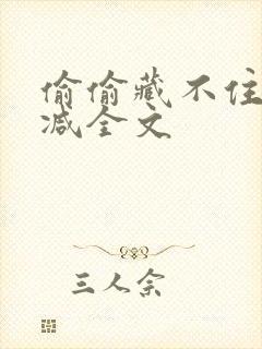 偷偷藏不住无删减全文