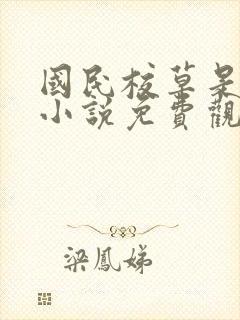 国民校草是女生小说免费观看