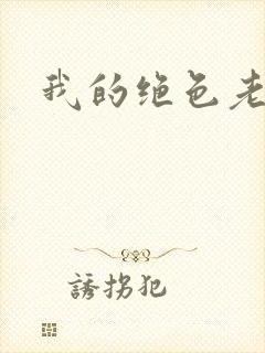 我的绝色老板封面