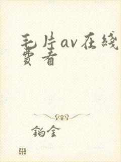 毛片av在线免费看
