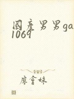 国产男男gay1069封面