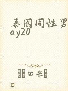 泰国同性男男gay20