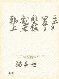 韩剧双男主《爱上老板了》在线观看