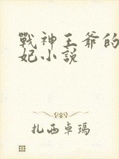 战神王爷的小医妃小说