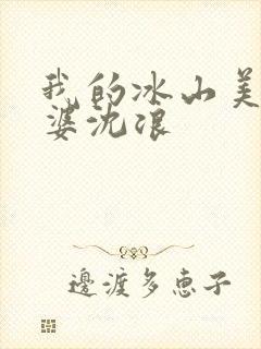 我的冰山美女老婆沈浪封面