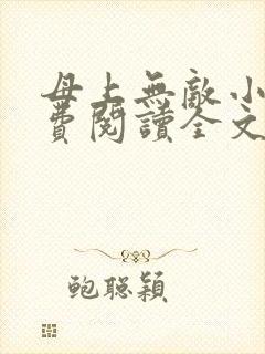 母上无敌小说免费阅读全文最新章节