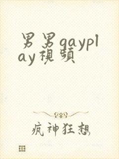 男男gayplay视频