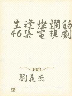 生逢灿烂的日子46集电视剧免费封面