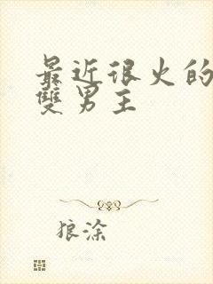 最近很火的韩剧双男主