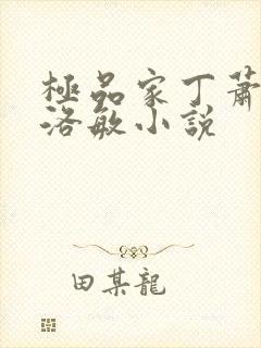 极品家丁萧夫人洛敏小说