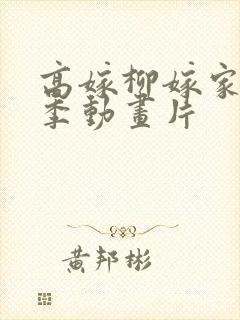 高嫁柳嫁家第二季动画片