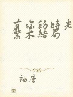 有你的时光里廖繁木结局