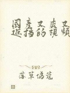 国产又爽又黄无遮挡的视频