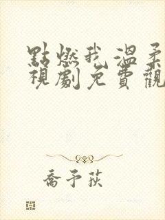 点燃我温柔你电视剧免费观看高清