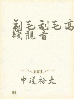 剃毛刮毛高清在线观看