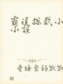 霸道总裁小娇妻小说