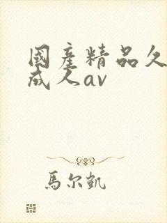 国产精品久久久成人av