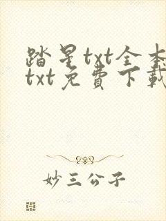踏星txt全本txt免费下载封面