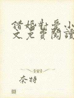 错婚对爱小说全文免费阅读封面