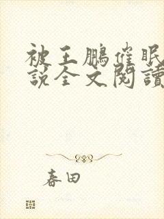 被王鹏催眠的小说全文阅读封面