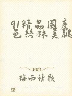 91精品国产黑色丝袜美腿封面