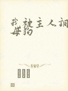 我被主人调教成母狗