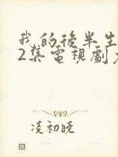 我的后半生全42集电视剧免费播放封面