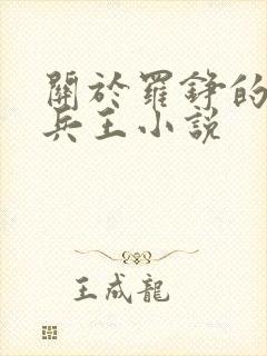 关于罗铮的最强兵王小说