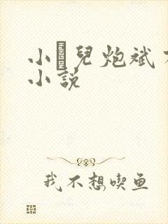 小苮儿炮斌有声小说