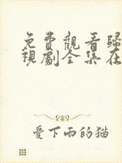 免费观看归路电视剧全集在线播放封面