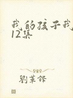 我的孩子我的家12集封面