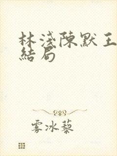 林浅陈默王昊大结局封面