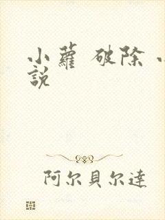 小萝 破除 小说