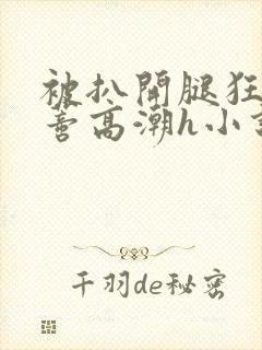 被扒开腿狂揉花蒂高潮h小说