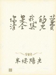 你是我的荣耀高清全集免费观看封面