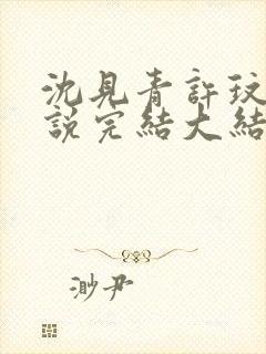 沈见青许玟玟小说完结大结局封面