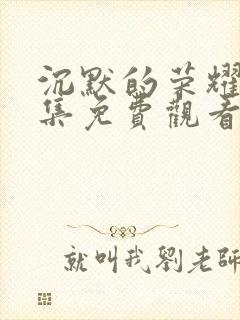 沉默的荣耀40集免费观看视频