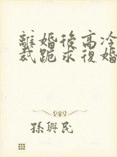 离婚后高冷女总裁跪求复婚